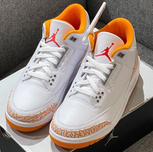 Nike Jordan · Style 101